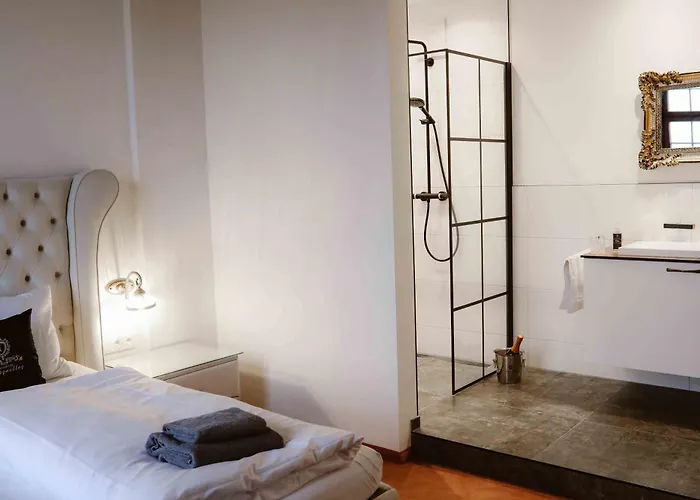 Elegant Castle Escape Near Austria Top Thermes Apartment